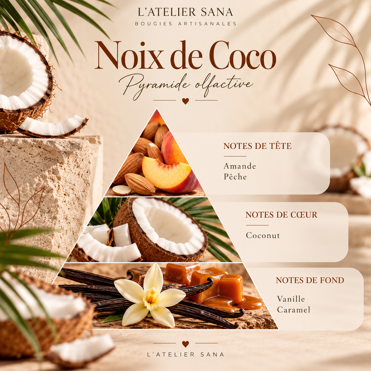 Bougie Noix de coco