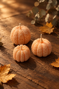 Bougie citrouilles